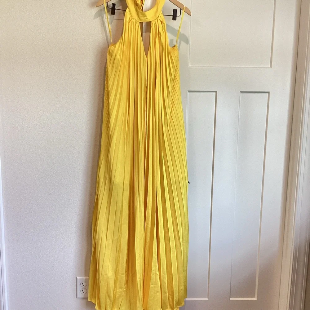 Hutch Pleated Halter Maxi Dress Anthropologie - Picture 6 of 15